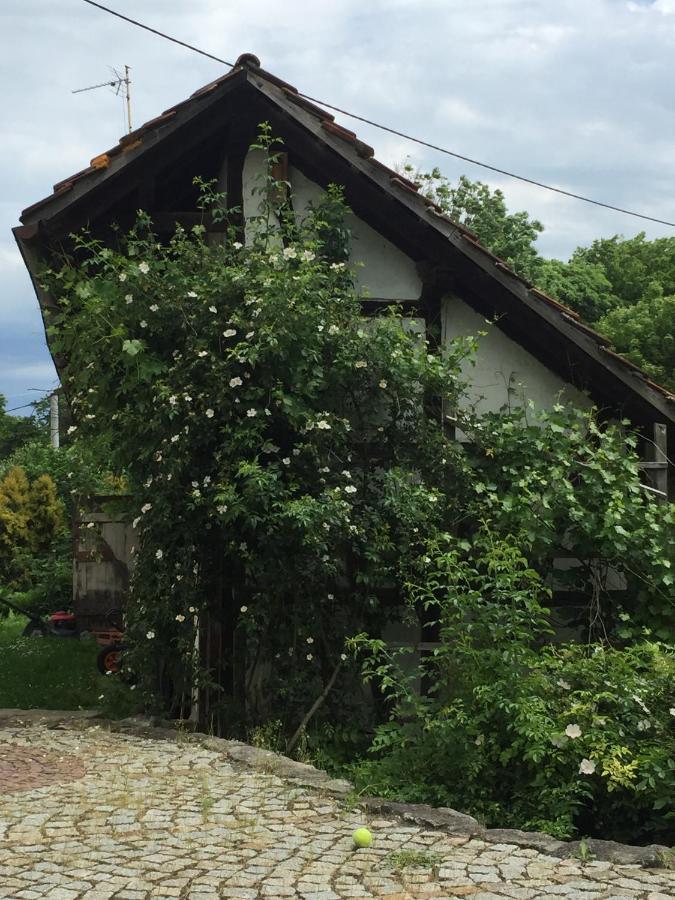 Bed and Breakfast Stara Szkola Debowy Gaj The Old School Debowy Gaj Львувек-Слёнски Экстерьер фото